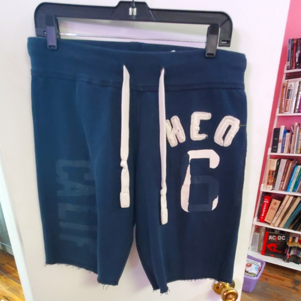 Hollister Men's Shorts
